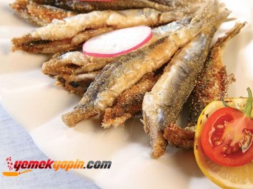 Hamsi Tava