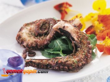 AHTOPOT IZGARA