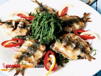 Deniz Börülceli Sardalye Dolma Izgara