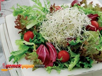 Fesleğen Soslu Akdeniz  Salatası