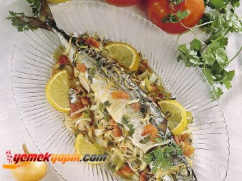 FIRINDA PALAMUT