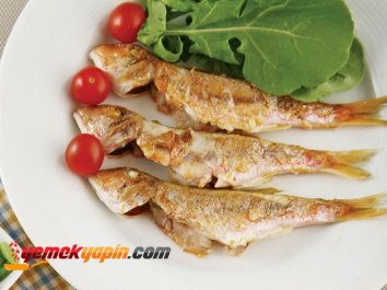 TEKİR IZGARA