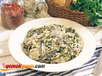 HAMSİ DİBLESİ