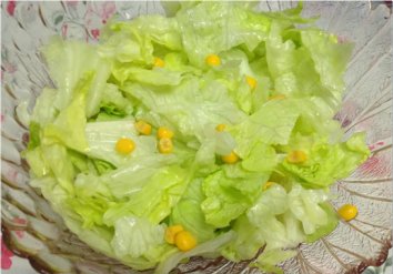 Iceberg Salata