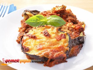 Patlıcan Oturtma