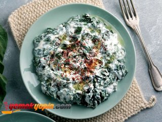 Pazı Borani