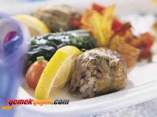 BALIKLI KABAK ÇİÇEĞİ DOLMASI