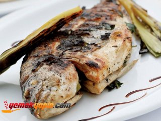 TAZE OTLU ÇİPURA BALIĞI